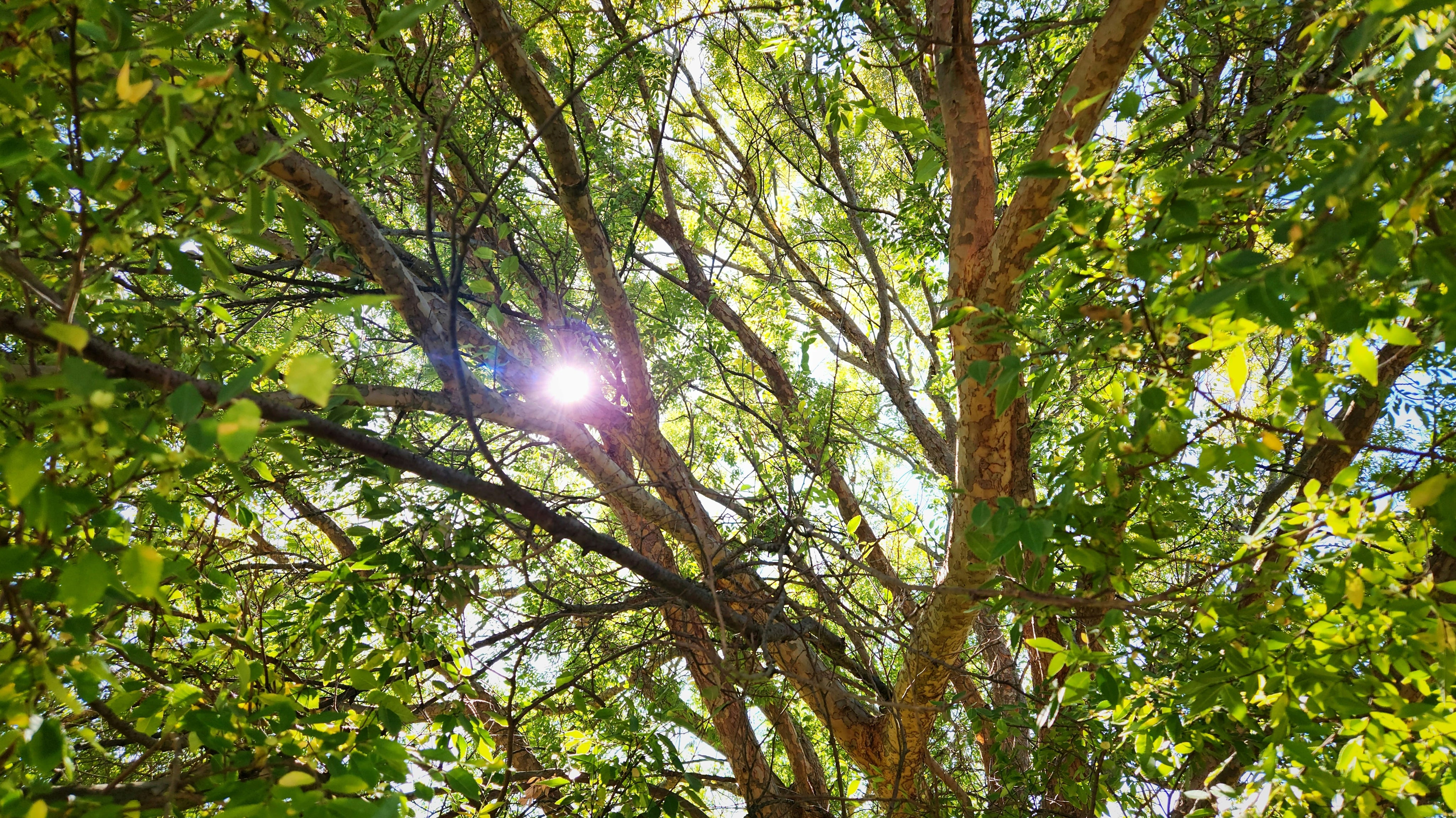 Positive Climate News (It Does Still Exist!)