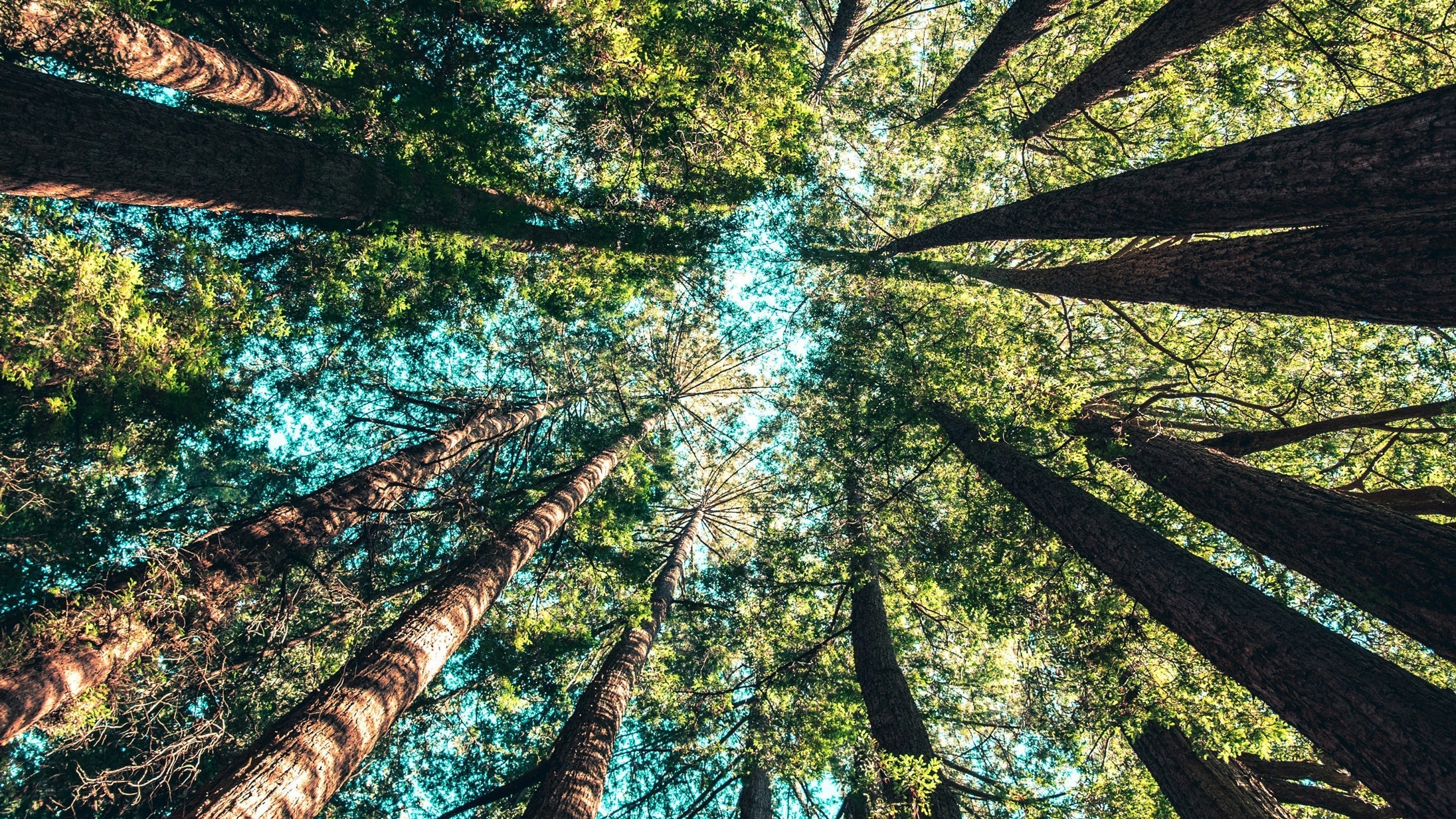 We're Officially a Certified B Corporation!