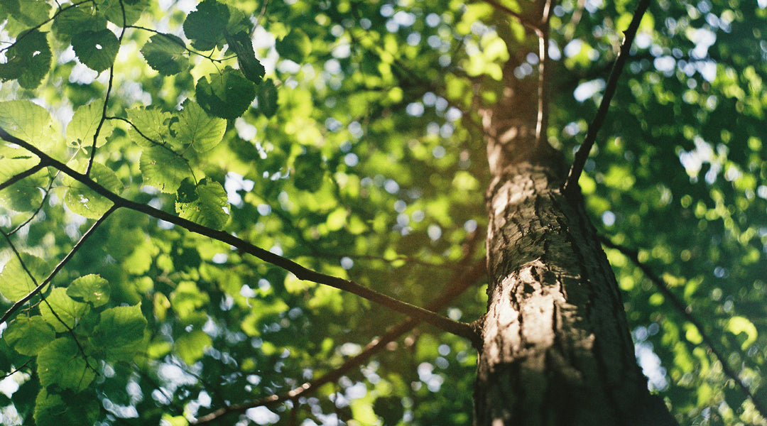 Nerdy for Nature: The Science of Getting Outside