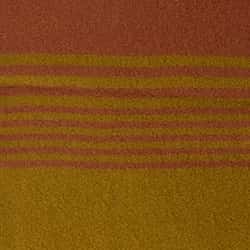 Coyote Ombre
