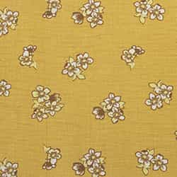 Toucan Print